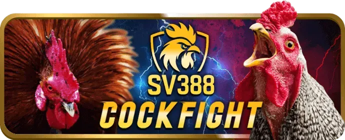 Bảo vệ dữ liệu tại oa888